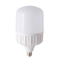 Đèn LED Búp Trụ Nhôm Nhựa Rạng Đông TR140N1/50W, 25.8cm x 14cm, E27, 6500K, 5000lm
