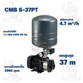 ปั๊มน้ำอัตโนมัติ กรุนด์ฟอส รุ่น CMB5-46PT สำหรับที่อยู่อาศัยและการเกษตร
