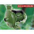 Máy bơm ly tâm hút giếng Shining SHP-751CE, 750W, 220V, Kích thước 31x21x27cm