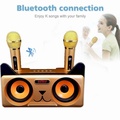 SDRD SD-305 Pembesar Suara Karaoke Bluetooth Dual Mikrofon