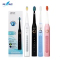 Bàn chải đánh răng điện Seago SG-507 - 5 chế độ làm sạch, chống thấm nước IPX7, sạc USB