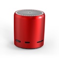 EWA A107 ลำโพงบลูทูธ TWS มินิพกพา สีเงิน