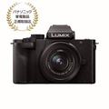 パナソニック LUMIX G100K 標準ズームレンズキット ブラック DC-G100K-K 2030万画素 ミラーレス一眼カメラ