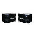 BMB CS 252V Speaker Karaoke 8-Inch Woofer & Tweeter