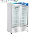 Tủ đông đứng Alaska IF-700G2 - 1000L, 2 cửa kính 3 lớp, tiết kiệm điện
