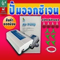 Jeneca AP-10000 ปั๊มลมออกซิเจน 2 ทาง แรง ประหยัดไฟ ปรับแรงลมได้