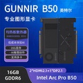 Intel Arc Pro B50 Kad Grafik