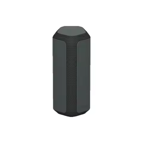 Sony SRS-XE300 X-Balanced 藍牙喇叭 IP67防水防塵 24小時續航 黑色/灰色/藍色