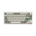 Keychron Q1 Max คีย์บอร์ดไร้สายแมคคานิคอล 75% พร้อมสวิตช์ Gateron Jupiter และไฟ RGB 22 แบบ