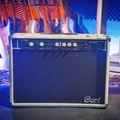 Cort AF60 - Ampli Gitar Akustik 30W, 4-Band Graphic Equalizer, Notch Filter, Built-in FX (Chorus, Delay)
