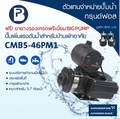 ปั๊มน้ำกรุนด์ฟอส CMB5-46PM1 ปั๊มน้ำเพิ่มแรงดันอัตโนมัติ