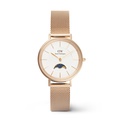 Jam Tangan Daniel Wellington Petite DW00100746 - Stainless Steel, Putih, Mesh Perak 19mm