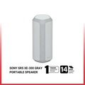 Sony SRS-XE300 Speaker Bluetooth