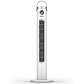 Philips ACR2244TF/30 Series 2000 直立式風扇 白色+銀色 3段風速 60度左右擺動 12小時定時