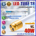 iwachi LED T8 20W หลอด LED