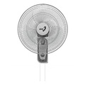 Quạt treo tường ASIA VY357792 - Xám, 15.75 inches, 55W, 3 cánh
