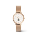 Jam Tangan Daniel Wellington Petite DW00100746 - Stainless Steel, Putih, Mesh Perak 19mm