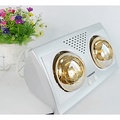 Đèn sưởi nhà tắm Tiross TS9291 - 2 bóng hồng ngoại, công suất 550W, màu bạc