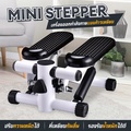 B&G MSP200 Mini Stepper เครื่องออกกำลังกายสเต็ปเปอร์