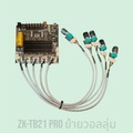 Wuzhi Audio ZK-TB21 แอมป์จิ๋ว