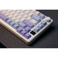 Royal Kludge RK M75 Wireless 3-Mode LED Gasket Mechanical Keyboard - 75%