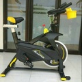 Ireborn iPedro Sepeda Spinning