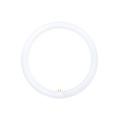 หลอดไฟ LED โตชิบา MAGNETIC CIRCULAR 20 วัตต์ DAYLIGHT แบบวงกลม