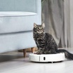 iRobot Menghadapi Potensi Penutupan saat Pembuat Roomba Berjuang Setelah Gagalnya Kesepakatan dengan Amazon
