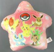 ポケモンセンター限定ぬいぐるみ　大量⭐︎XY御三家／ピカチュウなど ポケモンセンター限定ぬいぐるみ大量⭐︎XY御三家／ピカチュウなど