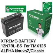 Tmx 125 deals battery