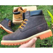 Kasut hot sale hiking timberland