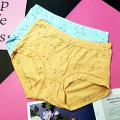 VictoryMall Seamless Panties Women Romantic Design Comfort Size L