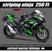 Ninja cheap 250 old