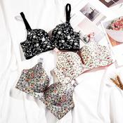 New Era Baju Seksi Baju dalam Wanita Lingerie Push-Up Bra Set Sexy Women  Lace Floral Lingerie Underwear Push-Up