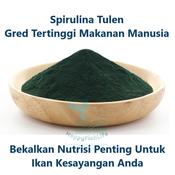 Spirulina for hot sale betta fry