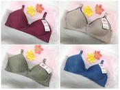 8816] NON-WIRED LADIES SIMPLE BEAUTIFUL C CUP BRA 38/85~44/100