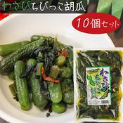 葉わさび　茎わさび 葉わさび 茎わさびの価格比較なら-2025年7月 | BigGo日本