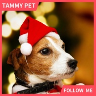 SG Shipment chrismas hat pet hat dog hat chrismas decorations christmas gift christmas tree decorati