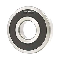 Bearing bearing 6204