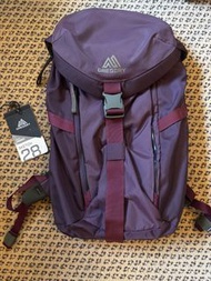 Gregory Sketch 28 Backpack - Purple
