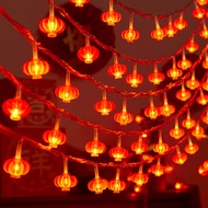 遇谎新年装饰LED灯笼彩灯闪灯串红灯笼装饰灯节庆春节过年布置3米20