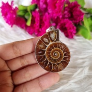 High-quality Ammonite Pendant - Ammonite Slice Necklace - Ammonite Fossil - Fossilized Ammonite