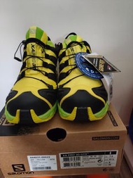 Salomon gore-tex  行山鞋