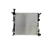 Hyundai Custin Radiator Assembly