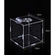 BREEDING / ISOLATION BOX FOR GUPPY, BETTA FISH