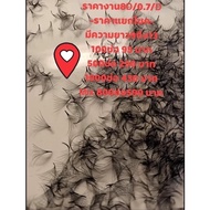 8d Volume Eyelashes Fresh Bouquet 0.7d 1000 Bunches