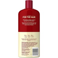 Old Spice Fiji 2 in 1 Mens Shampoo and Conditioner, 25.3 FL