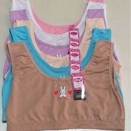 (6/ contains 12) Lutty teen miniset Lutty teen miniset/