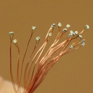 C0402 20pcs Model Trains SMD LED 0402 Pre-wired micro 0.1mm Copper Wire Lights Free Resistors 7 diff