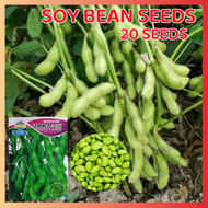 ปลูกง่าย ปลูกได้ทั่วไทย เมล็ดสด 100% เมล็ดพันธุ์ ถั่วแระญี่ปุ่น บรรจุ 20 เมล็ด Organic High Yield Green Soybean Vegetable Seeds for Planting เมล็ดพันธุ์ผัก ผักสวนครัว ต้นไม้มงคล เมล็ดบอนสี ต้นผลไม้ บอนไซ พันธุ์ผัก เมล็ดผัก ผักออร์แกนิก เมล็ดพันธุ์พืช